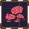 Brain Collector III