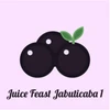 JUICE FEAST JABUTICABA I