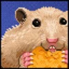 Hamster and cheese