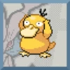 Psyduck