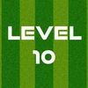 Complete Level 10