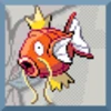 Magikarp