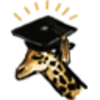 Professor of Giraffeology