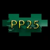  PLAY PUZZLE 25