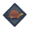 Kassiopeia the Tortoise