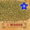 Woods 1cc