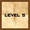 Level 5