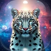 Level 16
