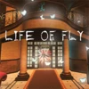 The 9th Fly