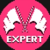 Expert