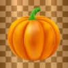 Every part of the Pumpkin is edible 