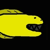 GOLD EEL