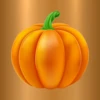 There are more than 45 different types of Pumpkin