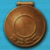 Interior Alaska Bronze Badge