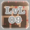 Level 09