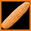 Orange corn