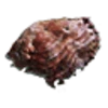 Chitin Accumulator