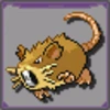 Raticate