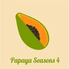 FRUIT SEASONS PAPAYA IV