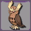 Noctowl