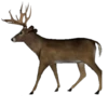 Level Progression- Monster Buck