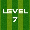 Complete Level 7