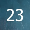 23