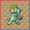 Professor Bridgette Challenge: Machop Family