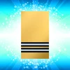 Flight Lieutenant +