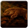 The Mole
