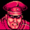 M.Bison Professional