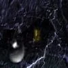 In the dark, in the rain