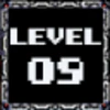 Level 9