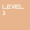 Level 3