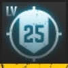 Level 25