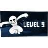 Level 9