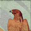 Aigles