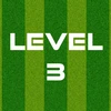 Complete Level 3