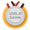 Level 45 Success