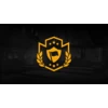 Defender