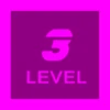 Level 3