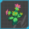 Maractus