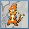 Buizel