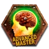 Advanced master