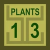 13 Plants