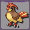 Pidgeotto