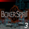 Boxer Spirit (Professional) - Race #3