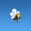 Discover bee