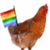 rainbow chicken