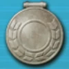 Western Arctic Silver Badge